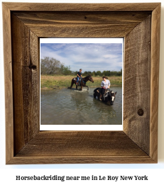 horseback riding near me in Le Roy, New York